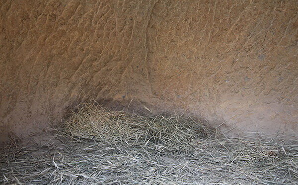 تبدیل گوردخمه‌های 2000 ساله به زباله‌دانی و کاه‌دانی